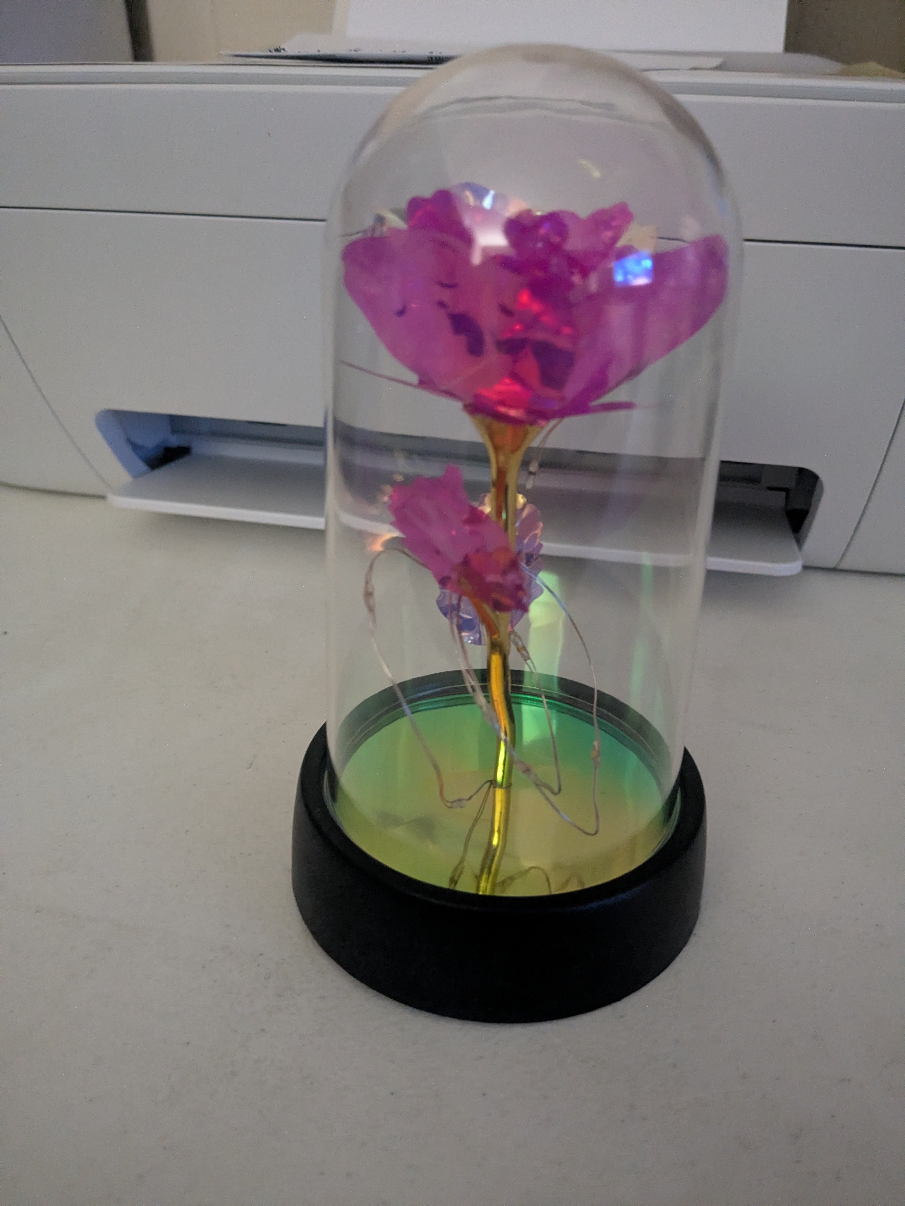 The Radiant Pink Eternal Rose | Shatterproof Magic